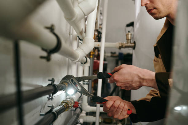 Best Clogged Drain Plumber  in Avoca, IA